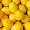 ingredient icon